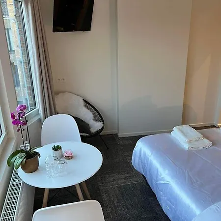 Prachtige In Centrum Met Badkamer ! * 布鲁日
